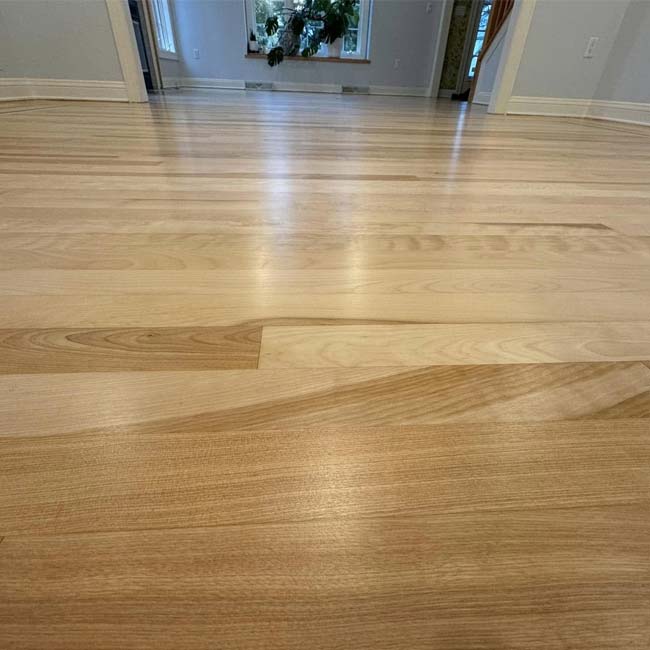 A close-up of polished hardwood floor staining by All American Flooring in a sunlit, empty room.
